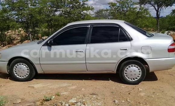 Nunua Ilio tumika Toyota Corolla Fedha Gari ndani ya Harare nchini Harare Nunua Ilio tumika Toyota Corolla Fedha Gari ndani ya Harare nchini Harare