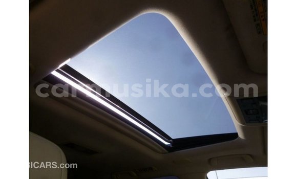 Tenga Imported Toyota Land Cruiser Nhema Mota in Import - Dubai in Harare Tenga Imported Toyota Land Cruiser Nhema Mota in Import - Dubai in Harare