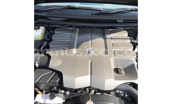 Tenga Imported Toyota Land Cruiser Nhema Mota in Import - Dubai in Harare Tenga Imported Toyota Land Cruiser Nhema Mota in Import - Dubai in Harare