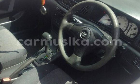 Nunua Ilio tumika Toyota Runx Fedha Gari ndani ya Harare nchini Harare Nunua Ilio tumika Toyota Runx Fedha Gari ndani ya Harare nchini Harare