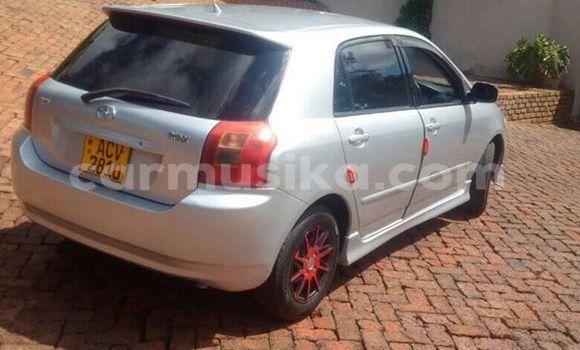 Nunua Ilio tumika Toyota Runx Fedha Gari ndani ya Harare nchini Harare Nunua Ilio tumika Toyota Runx Fedha Gari ndani ya Harare nchini Harare