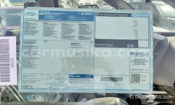 Acheter Import Voiture Ford Club Wagon Rouge à Import - Dubai, Harare Acheter Import Voiture Ford Club Wagon Rouge à Import - Dubai, Harare