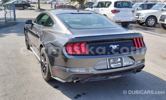Acheter Import Voiture Ford Mustang Autre à Import - Dubai, Harare Acheter Import Voiture Ford Mustang Autre à Import - Dubai, Harare