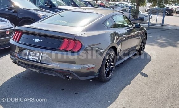 Acheter Import Voiture Ford Mustang Autre à Import - Dubai, Harare Acheter Import Voiture Ford Mustang Autre à Import - Dubai, Harare