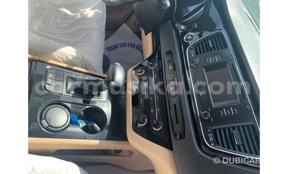 Acheter Import Voiture Kia Carnival Blanc à Import - Dubai, Harare Acheter Import Voiture Kia Carnival Blanc à Import - Dubai, Harare