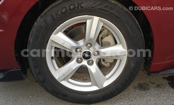 Acheter Import Voiture Ford Mustang Rouge à Import - Dubai, Harare Acheter Import Voiture Ford Mustang Rouge à Import - Dubai, Harare
