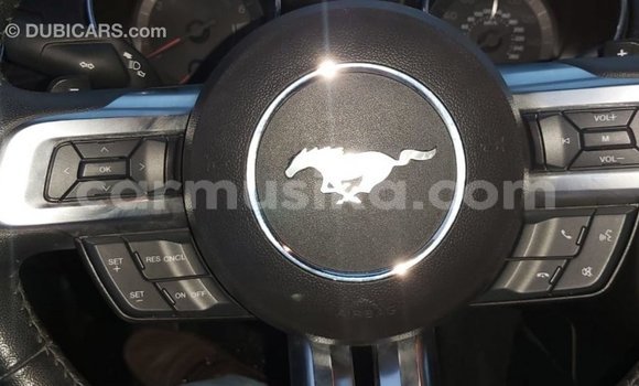 Acheter Import Voiture Ford Mustang Rouge à Import - Dubai, Harare Acheter Import Voiture Ford Mustang Rouge à Import - Dubai, Harare
