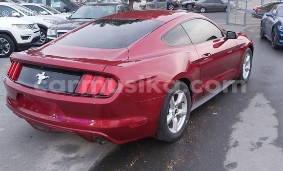 Acheter Import Voiture Ford Mustang Rouge à Import - Dubai, Harare Acheter Import Voiture Ford Mustang Rouge à Import - Dubai, Harare