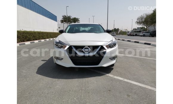 Acheter Import Voiture Nissan Maxima Blanc à Import - Dubai, Harare Acheter Import Voiture Nissan Maxima Blanc à Import - Dubai, Harare