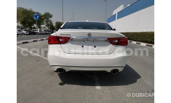 Acheter Import Voiture Nissan Maxima Blanc à Import - Dubai, Harare Acheter Import Voiture Nissan Maxima Blanc à Import - Dubai, Harare