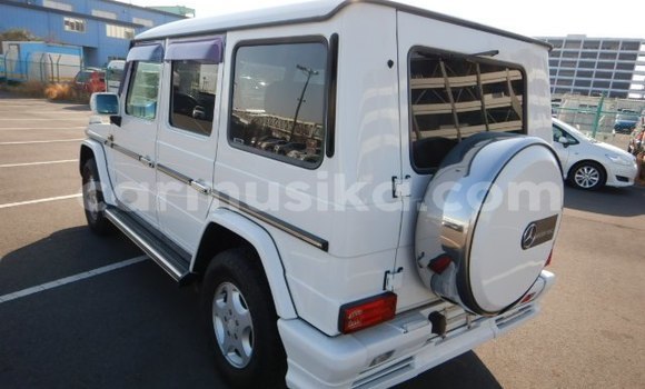 Nunua Ilio tumika Mercedes‒Benz G-klasse Nyeupe Gari ndani ya Borrowdale nchini Harare Nunua Ilio tumika Mercedes‒Benz G-klasse Nyeupe Gari ndani ya Borrowdale nchini Harare