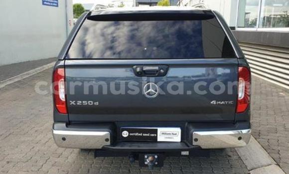 Tenga Tsaru Mercedes‒Benz X-klasse Concept Beige Mota in Beitbridge in Matabeleland South Tenga Tsaru Mercedes‒Benz X-klasse Concept Beige Mota in Beitbridge in Matabeleland South