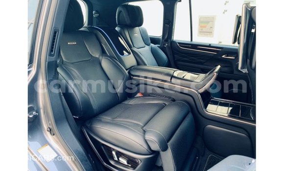 Tenga Imported Lexus LX Zvimwe Mota in Import - Dubai in Harare Tenga Imported Lexus LX Zvimwe Mota in Import - Dubai in Harare