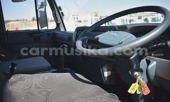 Acheter Occasion Utilitaire Nissan UD Blanc à Beitbridge, Matabeleland South Acheter Occasion Utilitaire Nissan UD Blanc à Beitbridge, Matabeleland South