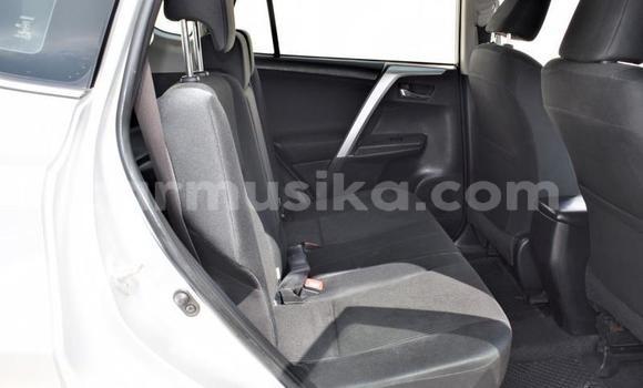Nunua Ilio tumika Toyota RAV4 Fedha Gari ndani ya Beitbridge nchini Matabeleland Kusini Nunua Ilio tumika Toyota RAV4 Fedha Gari ndani ya Beitbridge nchini Matabeleland Kusini