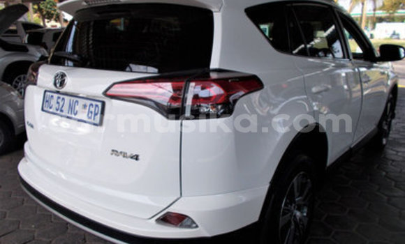 Buy Used Toyota RAV4 White Car in Beitbridge in Matabeleland South Buy Used Toyota RAV4 White Car in Beitbridge in Matabeleland South
