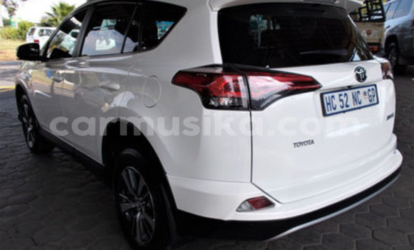 Buy Used Toyota RAV4 White Car in Beitbridge in Matabeleland South Buy Used Toyota RAV4 White Car in Beitbridge in Matabeleland South