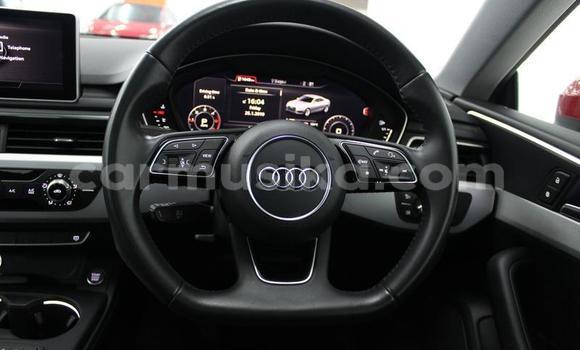 Buy Used Audi A5 Red Car in Harare in Harare Buy Used Audi A5 Red Car in Harare in Harare