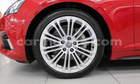 Buy Used Audi A5 Red Car in Harare in Harare Buy Used Audi A5 Red Car in Harare in Harare