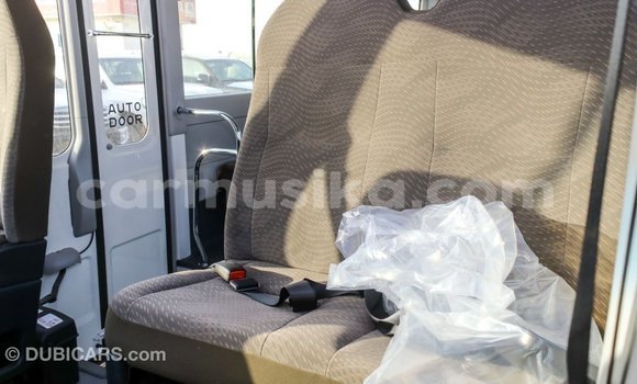 Tenga Imported Toyota Coaster Chena Mota in Import - Dubai in Harare Tenga Imported Toyota Coaster Chena Mota in Import - Dubai in Harare