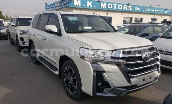 Acheter Import Voiture Toyota Land Cruiser Blanc à Import - Dubai, Harare Acheter Import Voiture Toyota Land Cruiser Blanc à Import - Dubai, Harare