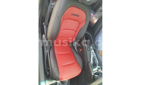 Tenga Imported Chevrolet Camaro Zvimwe Mota in Import - Dubai in Harare Tenga Imported Chevrolet Camaro Zvimwe Mota in Import - Dubai in Harare