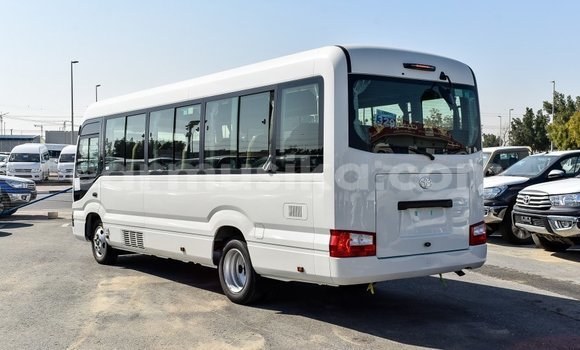 Tenga Imported Toyota Coaster Chena Mota in Import - Dubai in Harare Tenga Imported Toyota Coaster Chena Mota in Import - Dubai in Harare