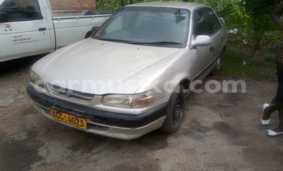 Acheter Occasion Voiture Toyota Corolla Gris à Harare, Harare Acheter Occasion Voiture Toyota Corolla Gris à Harare, Harare