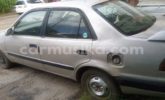 Acheter Occasion Voiture Toyota Corolla Gris à Harare, Harare Acheter Occasion Voiture Toyota Corolla Gris à Harare, Harare