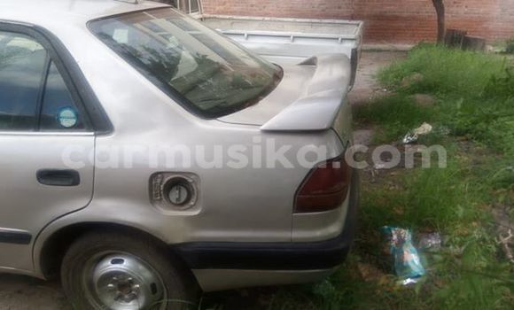 Acheter Occasion Voiture Toyota Corolla Gris à Harare, Harare Acheter Occasion Voiture Toyota Corolla Gris à Harare, Harare