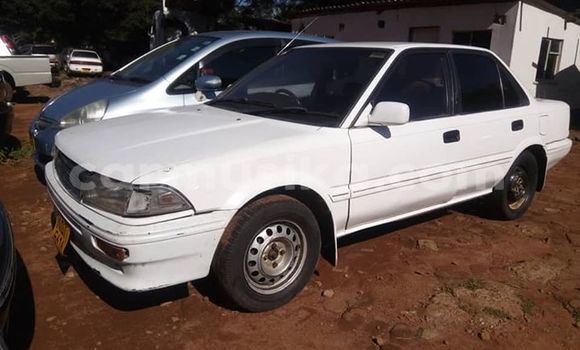 Buy Used Toyota Corolla White Car in Harare in Harare Buy Used Toyota Corolla White Car in Harare in Harare