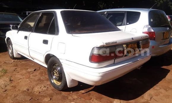 Buy Used Toyota Corolla White Car in Harare in Harare Buy Used Toyota Corolla White Car in Harare in Harare