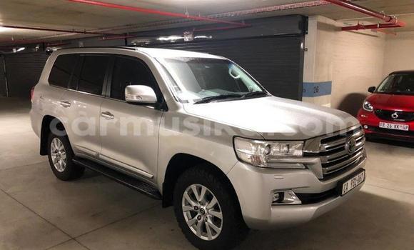 Tenga Tsaru Toyota Land Cruiser Sirivha Mota in Harare in Harare Tenga Tsaru Toyota Land Cruiser Sirivha Mota in Harare in Harare