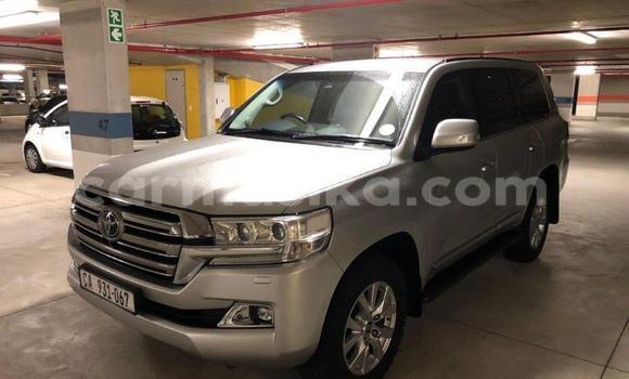 Tenga Tsaru Toyota Land Cruiser Sirivha Mota in Harare in Harare Tenga Tsaru Toyota Land Cruiser Sirivha Mota in Harare in Harare