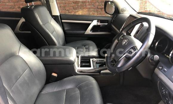 Tenga Tsaru Toyota Land Cruiser Sirivha Mota in Harare in Harare Tenga Tsaru Toyota Land Cruiser Sirivha Mota in Harare in Harare
