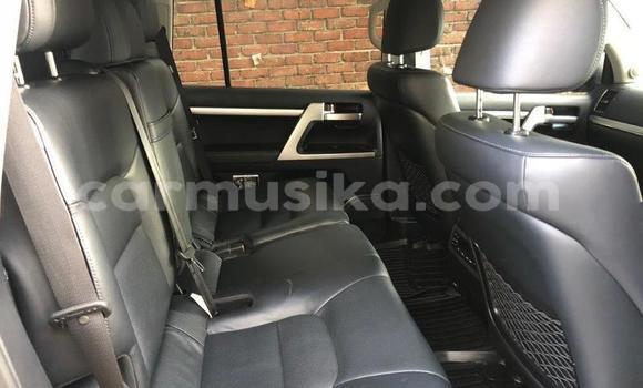 Tenga Tsaru Toyota Land Cruiser Sirivha Mota in Harare in Harare Tenga Tsaru Toyota Land Cruiser Sirivha Mota in Harare in Harare