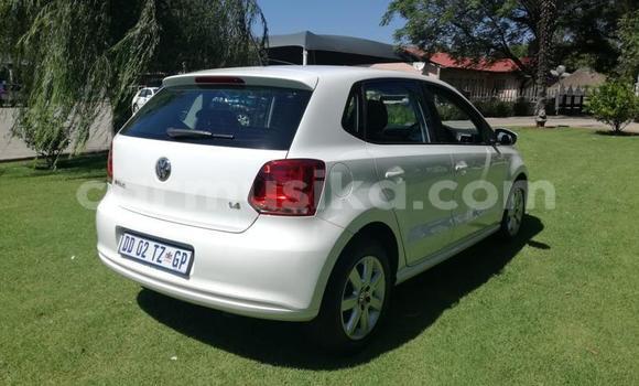 Tenga Tsaru Volkswagen Polo Chena Mota in Harare in Harare Tenga Tsaru Volkswagen Polo Chena Mota in Harare in Harare