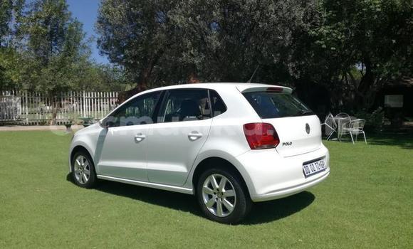 Tenga Tsaru Volkswagen Polo Chena Mota in Harare in Harare Tenga Tsaru Volkswagen Polo Chena Mota in Harare in Harare