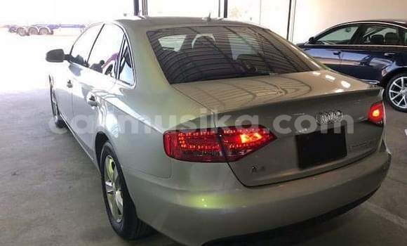 Tenga Tsaru Audi A4 Sirivha Mota in Beitbridge in Matabeleland South Tenga Tsaru Audi A4 Sirivha Mota in Beitbridge in Matabeleland South