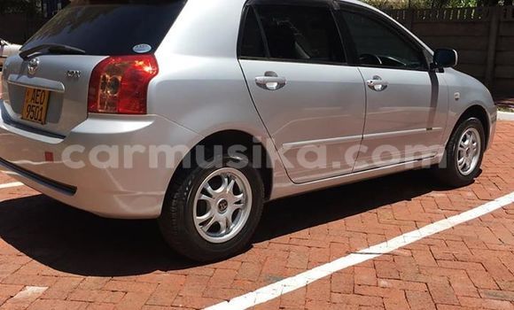 Acheter Occasion Voiture Toyota Runx Gris à Harare, Harare Acheter Occasion Voiture Toyota Runx Gris à Harare, Harare