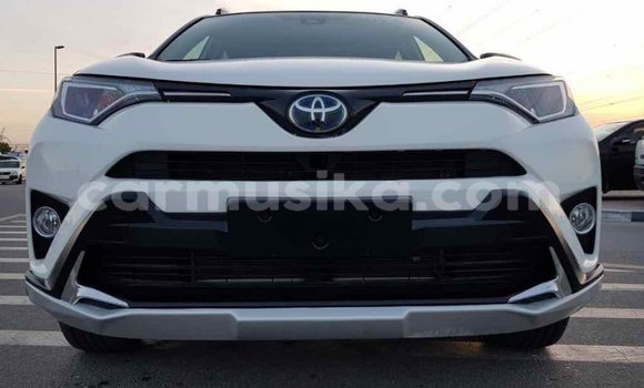 Tenga Imported Toyota RAV4 Chena Mota in Import - Dubai in Harare Tenga Imported Toyota RAV4 Chena Mota in Import - Dubai in Harare