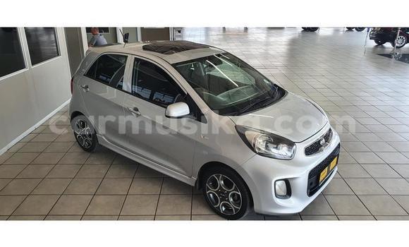 Buy Used Kia Picanto Silver Car in Beitbridge in Matabeleland South Buy Used Kia Picanto Silver Car in Beitbridge in Matabeleland South