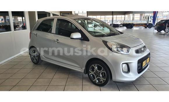 Buy Used Kia Picanto Silver Car in Beitbridge in Matabeleland South Buy Used Kia Picanto Silver Car in Beitbridge in Matabeleland South