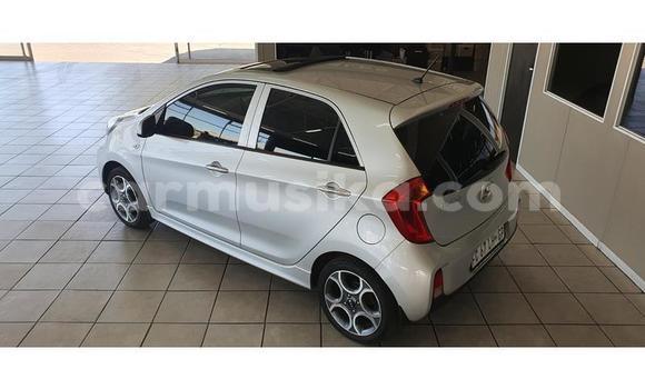 Buy Used Kia Picanto Silver Car in Beitbridge in Matabeleland South Buy Used Kia Picanto Silver Car in Beitbridge in Matabeleland South