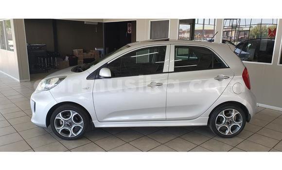 Buy Used Kia Picanto Silver Car in Beitbridge in Matabeleland South Buy Used Kia Picanto Silver Car in Beitbridge in Matabeleland South