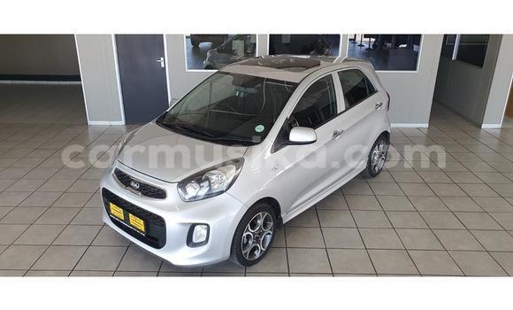 Buy Used Kia Picanto Silver Car in Beitbridge in Matabeleland South Buy Used Kia Picanto Silver Car in Beitbridge in Matabeleland South