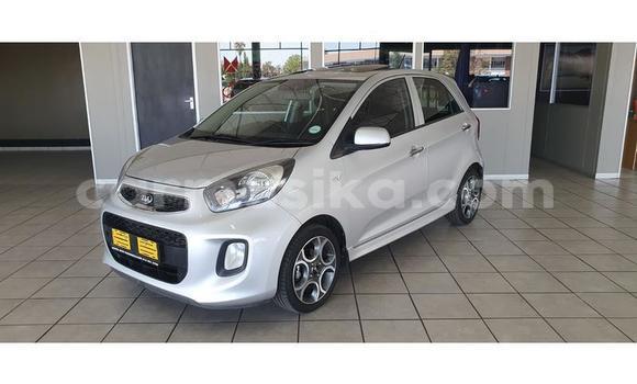 Buy Used Kia Picanto Silver Car in Beitbridge in Matabeleland South Buy Used Kia Picanto Silver Car in Beitbridge in Matabeleland South