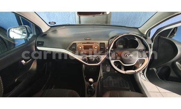 Buy Used Kia Picanto Silver Car in Beitbridge in Matabeleland South Buy Used Kia Picanto Silver Car in Beitbridge in Matabeleland South