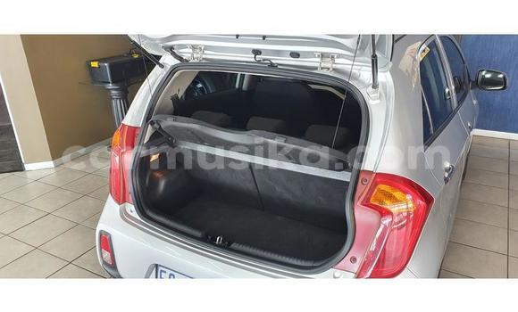 Buy Used Kia Picanto Silver Car in Beitbridge in Matabeleland South Buy Used Kia Picanto Silver Car in Beitbridge in Matabeleland South