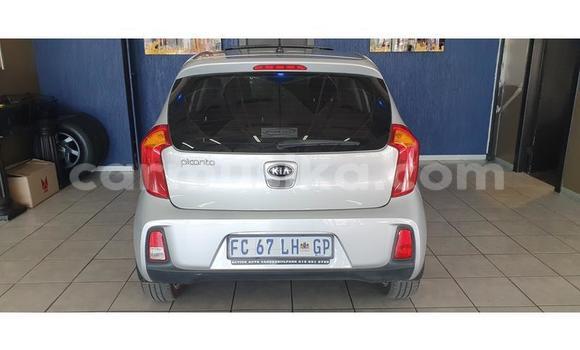 Buy Used Kia Picanto Silver Car in Beitbridge in Matabeleland South Buy Used Kia Picanto Silver Car in Beitbridge in Matabeleland South